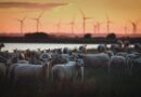 Up to 750,000 Acres of England Could Be Taken for Net Zero Energy Projects
