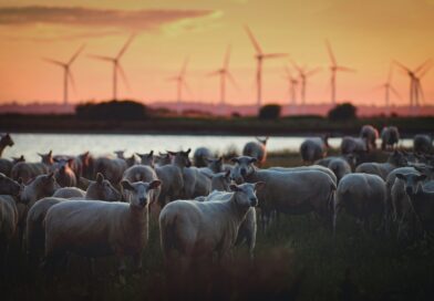 Up to 750,000 Acres of England Could Be Taken for Net Zero Energy Projects