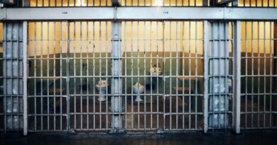 Green Party Candidate Wants to Abolish Prisons