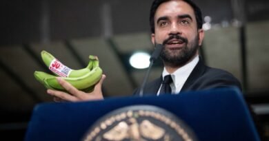 Mamdani Opens Soviet-Style Grocery Stores in New York