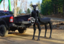 New Robot Looks Like a Demon and Might Act Like One