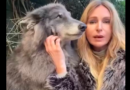 Police Order Wildlife Presenter to Take ‘Online Thinking’ Course Over YouTube Comments