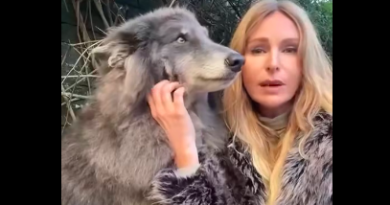 Police Order Wildlife Presenter to Take ‘Online Thinking’ Course Over YouTube Comments