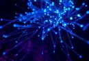 Survival AI That Still Works When The Internet Goes Down
