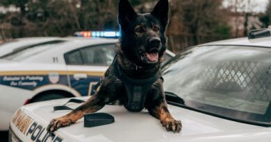 Silicon Valley Building Genetically Engineered War Dogs